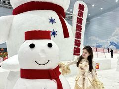 -哈尔滨热雪奇迹