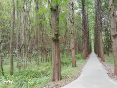 -同里国家湿地公园
