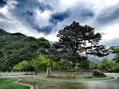 -秦岭终南山世界地质公园翠华山景区