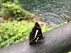 -井冈山风景名胜区