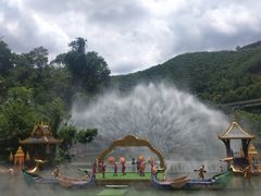 -西双版纳原始森林公园