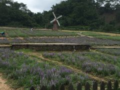 -德庆盘龙峡生态旅游区