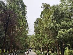 -灵谷景区