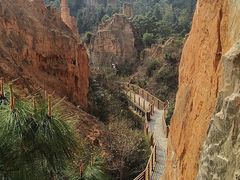 -彩色沙林风景区