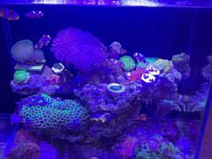 -Rabbit Cafe私房西餐甜点咖啡(栖霞路店)