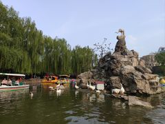 -团结湖公园