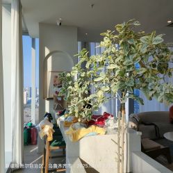 -牛油果儿童摄影