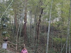 -仙岛湖旅游风景区