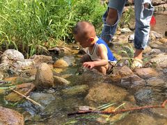 -碓臼峪自然风景区