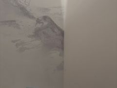 -长风拨筋养身(金虹桥店)