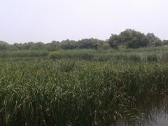 -西湖风景区-江洋畈生态公园