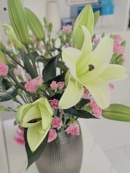 -悦颜美佳·美容·美甲美睫