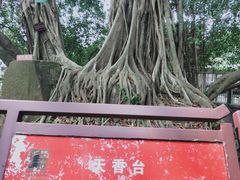 -乌山风景区