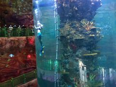 -青岛嘉年华主题乐园