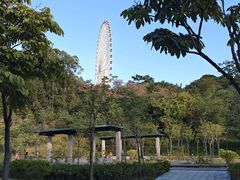 -南宁市凤岭儿童公园