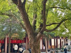 -香积寺