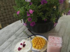 -大隐花事(熊婆婆的花园店)