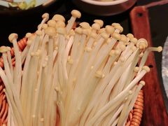 -季季山·云南野生菌火锅(上海首店)
