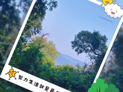 -火炉山森林公园