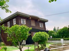 -金山农民画村-枫泾波兰倒置屋