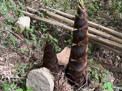 -众神白水涧景区