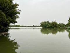 -洛阳市隋唐城遗址植物园