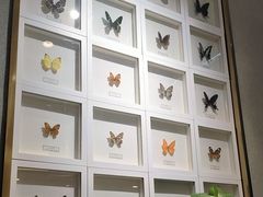 -峨嵋小镇(远洋城店)