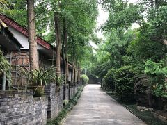 -郫都区农科村景区