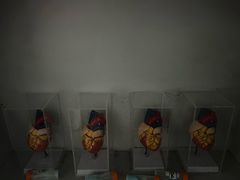 -Xcape异时刻密室逃脱魔法互动(瑞虹天地太阳宫店)