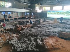 -自贡恐龙博物馆