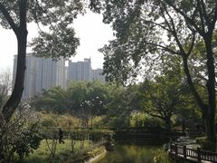 -望江楼公园