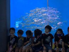 -成都浩海立方海洋公园