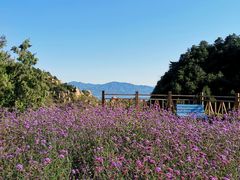 -云峰山自然风景区
