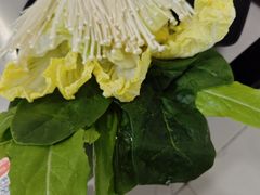 -京北128号院火锅鸡