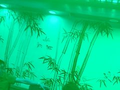 -徐鼎盛民间菜(上筑店)