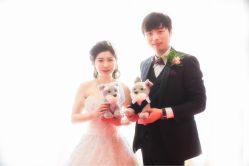 -JEFF STUDIO摄影摄像婚礼跟拍