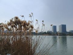 -美兰湖景区