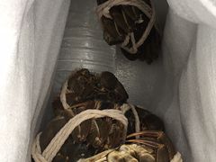 -七星龙虾城·海鲜·大闸蟹(吴江店)