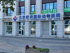 -欧奕国际动物医院