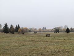 -北极村旅游风景区