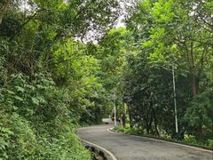-火炉山森林公园