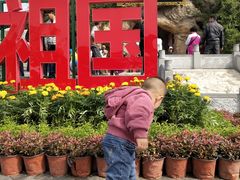 -大槐树寻根祭祖园