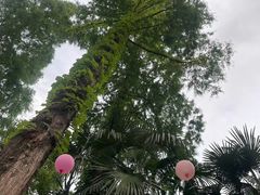 -和平官邸·花园餐厅(武定西路店)