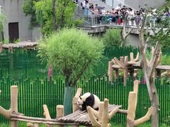 -沈阳森林动物园