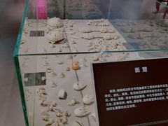 -包头博物馆