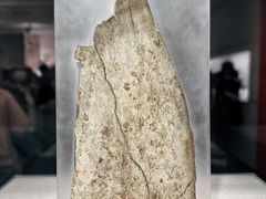 -北京大学赛克勒考古与艺术博物馆