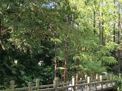-广州兰圃