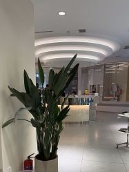 -PE SALON