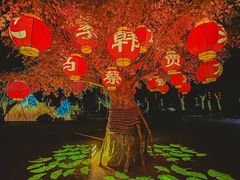 -琅岐红光湖公园