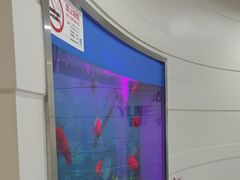 -雅悦齿科(顾村公园店)